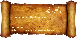 Lőrincz Antónia névjegykártya